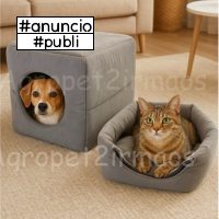 Caminha Pet