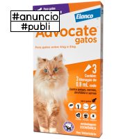 Antipulgas Advocate Elanco Gatos