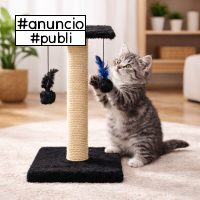 Arranhador Para Gatos